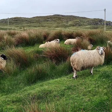 酒店 Manannan Cottage, Beara