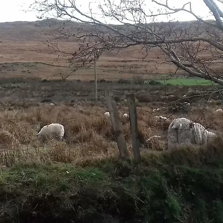 酒店 Manannan Cottage, Beara Eyeries