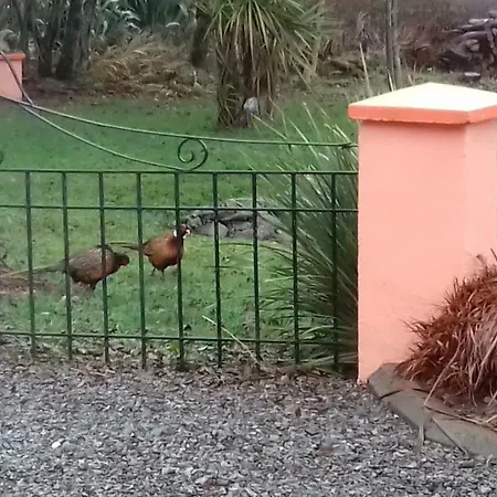 Manannan Cottage, Beara