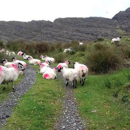 Manannan Cottage, Beara 3*