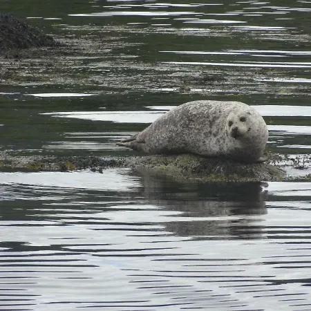 Manannan Cottage, Beara 3*