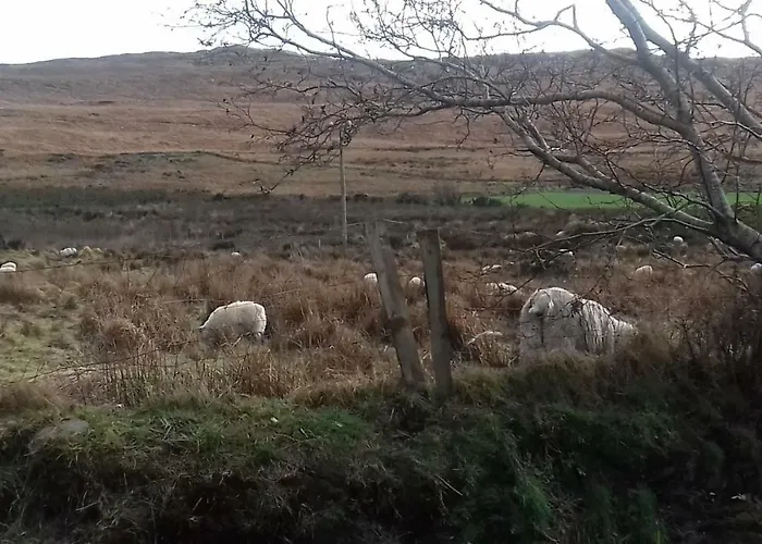 Hotel Manannan Cottage, Beara Eyeries