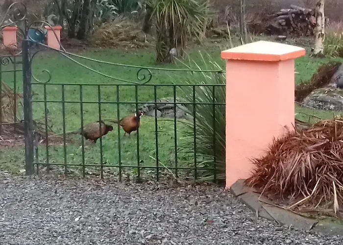 Manannan Cottage, Beara