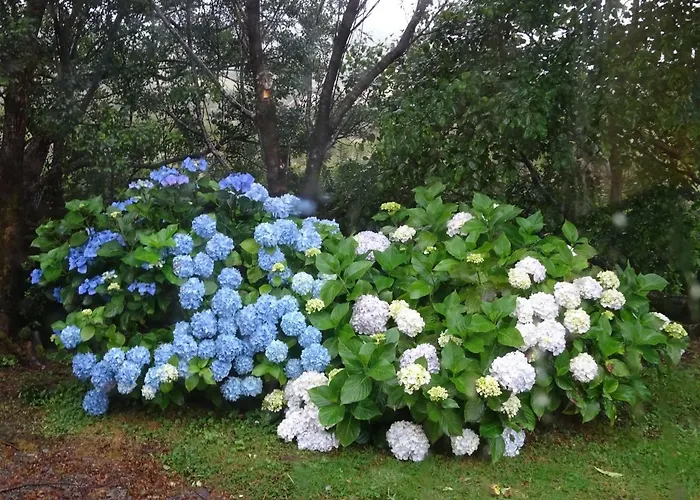 Hotel Manannan Eyeries